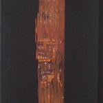 Rubens Ianelli, Pectras, Guache sobre fragmentos de madeira, 111 x 8 x 3 cm, 2006.