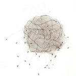 Adriana Banfi Esfera Yin-Yang (ninho branco menor) Fios de cobre e de metal, tubos, miçangas e canaletas sobre tela de nylon 30 cm diâmetro, sem data