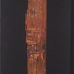 Rubens Ianelli, Pectras, Guache sobre fragmentos de madeira, 111 x 6 x 3 cm, 2006.