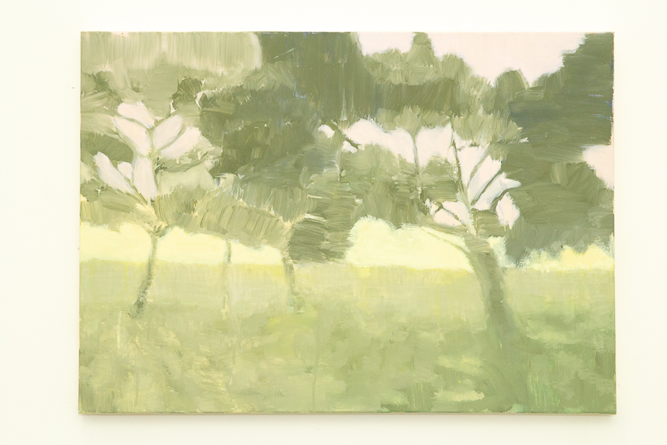 Pintura 210, Acrílica e guache sobre tela, 50 x 70 cm, 2014.