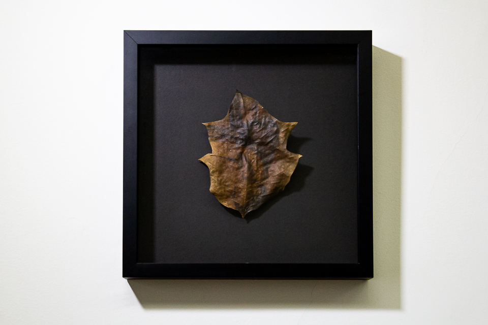 Christus Nobrega, Árvore genealógica, impressão sobre folha e verniz, 35 x 35 cm, 2014
