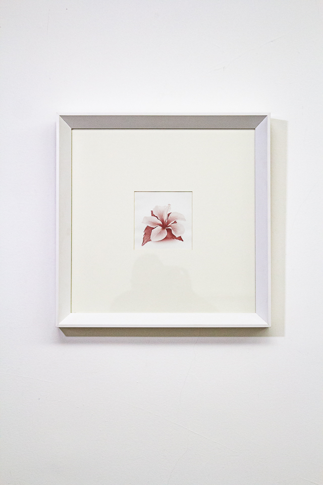 Christus Nobrega, Sudário, impressão jato de tinta com tinta feita de sangue, 14 x 14 cm, 2013