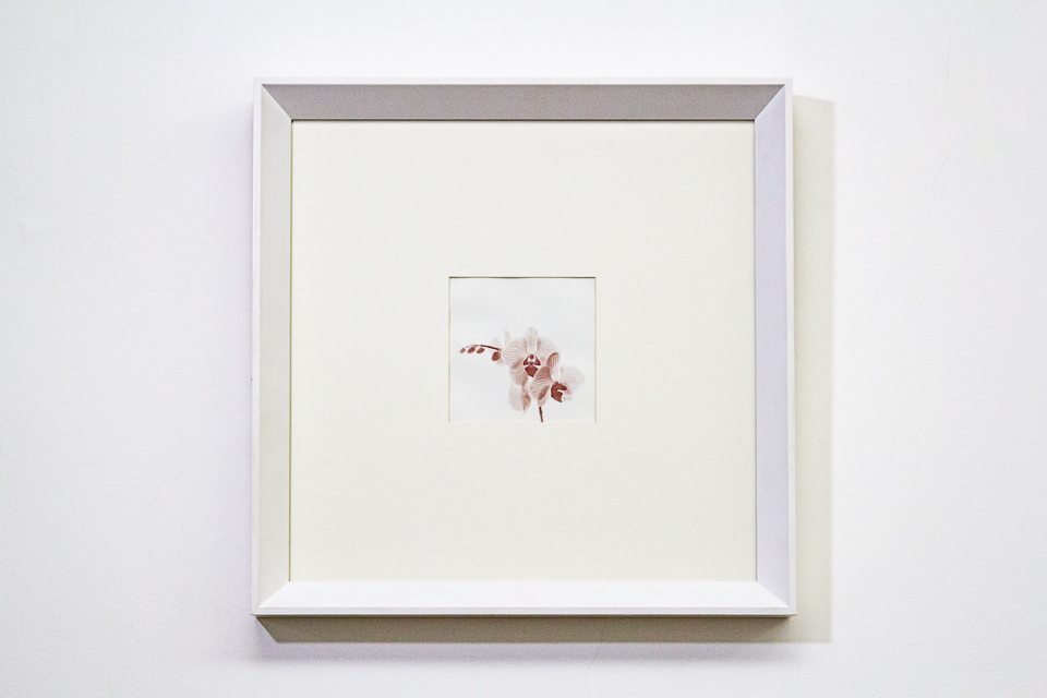 Christus Nobrega, Sudário, impressão jato de tinta com tinta feita de sangue, 14 x 14 cm, 2013