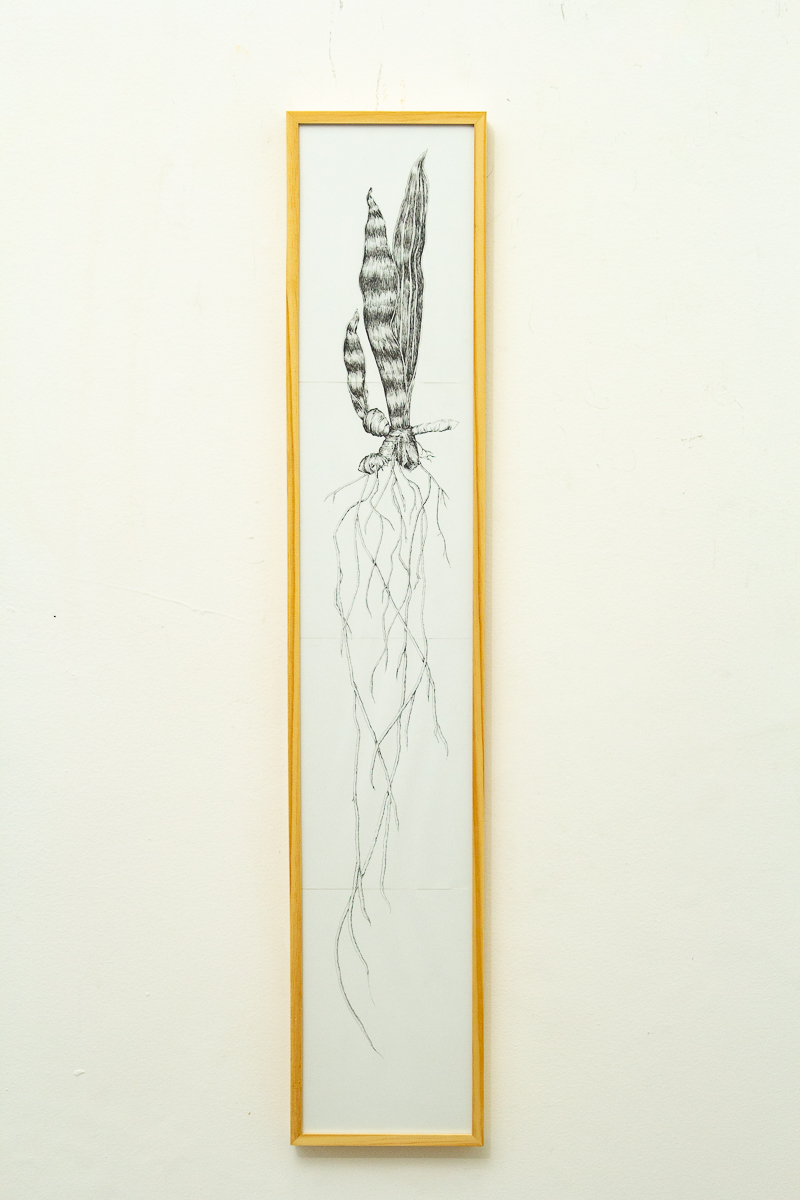 Vítor Mizael, Sem título, Nanquim sobre papel, 121 x 23 cm, 2016-18