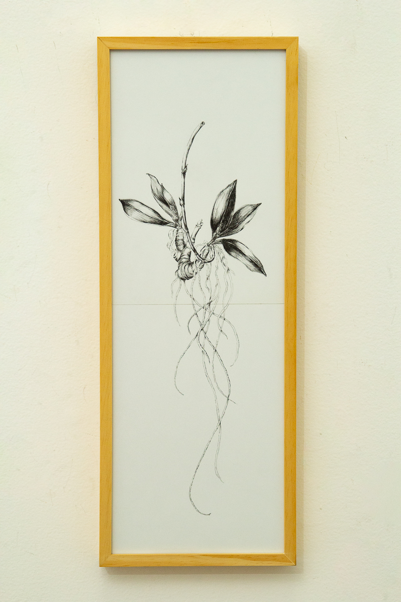 Vítor Mizael, Sem título, Nanquim sobre papel, 60 x 21 cm, 2015-16