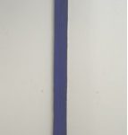 Marcos Coelho Benjamim Varetas verticais Zinco oxidado pintado em azul 160 x 7,5 cm, 2008.
