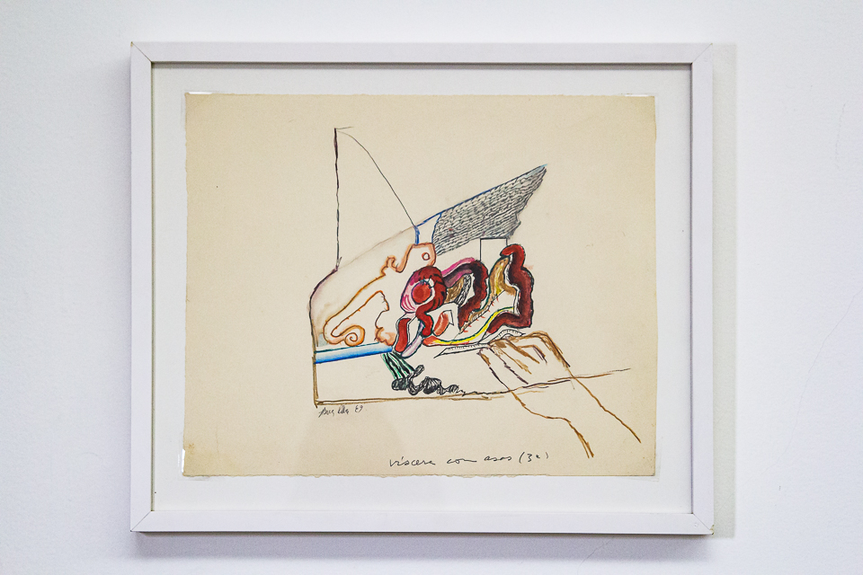 Vicerais com asas, Guache e nanquim sobre papel, 30 x 38 cm, 1969