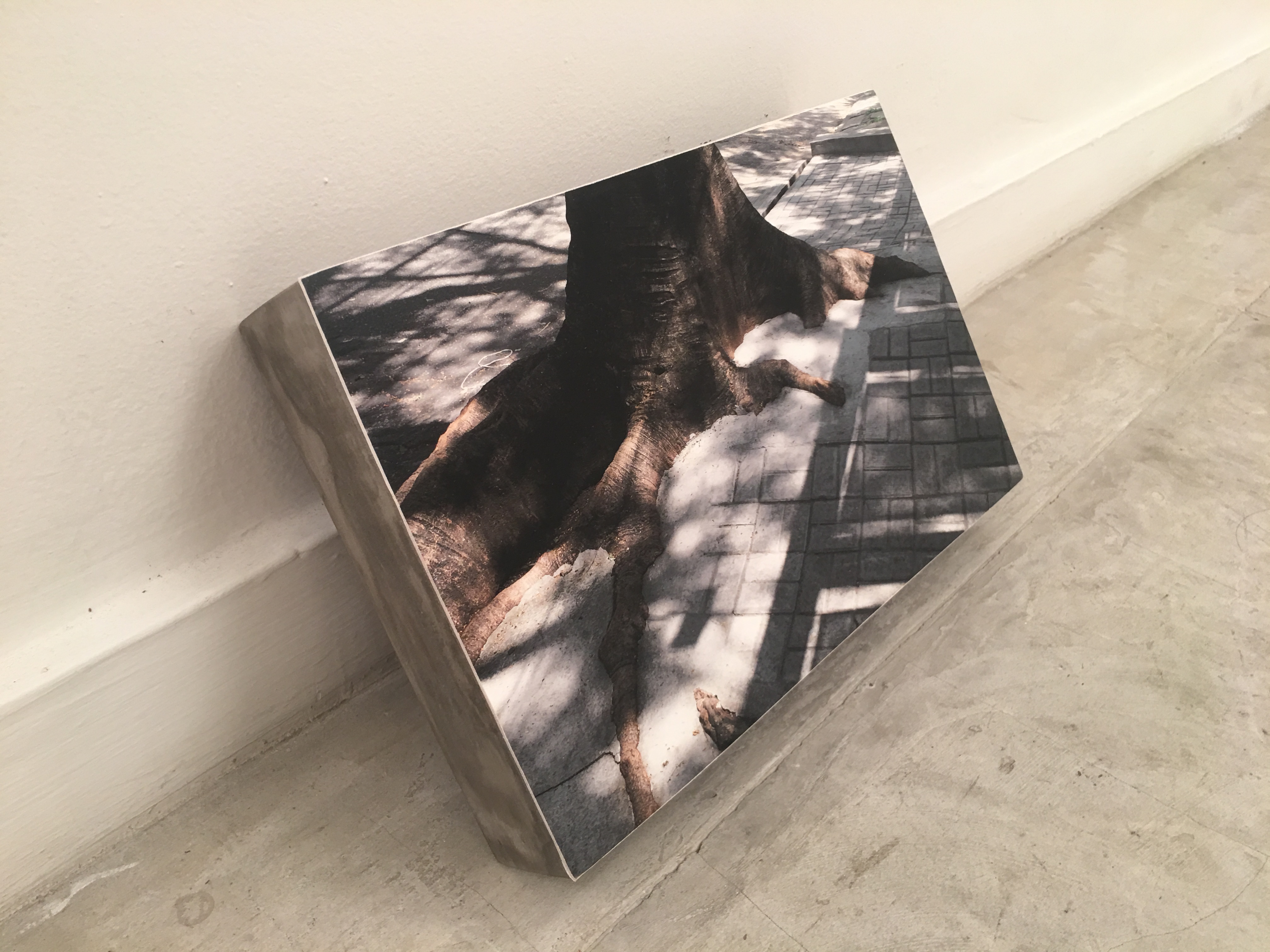 Patricia Gouvêa, Sobrevida 8, Foto-objeto, 20 x 30 x 5 cm, 2018, Edição 1 de 3.
