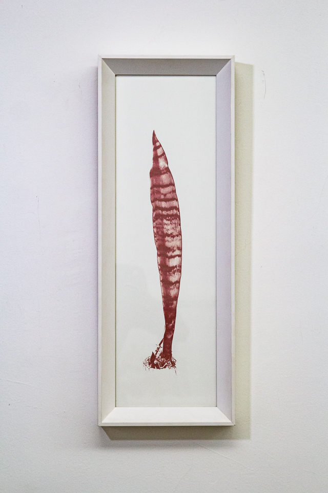 Christus Nobrega, sudario.espada de São Jorge, impressão jato de tinta com tinta feita de sangue, 65 x 30 cm, 2013 (2)