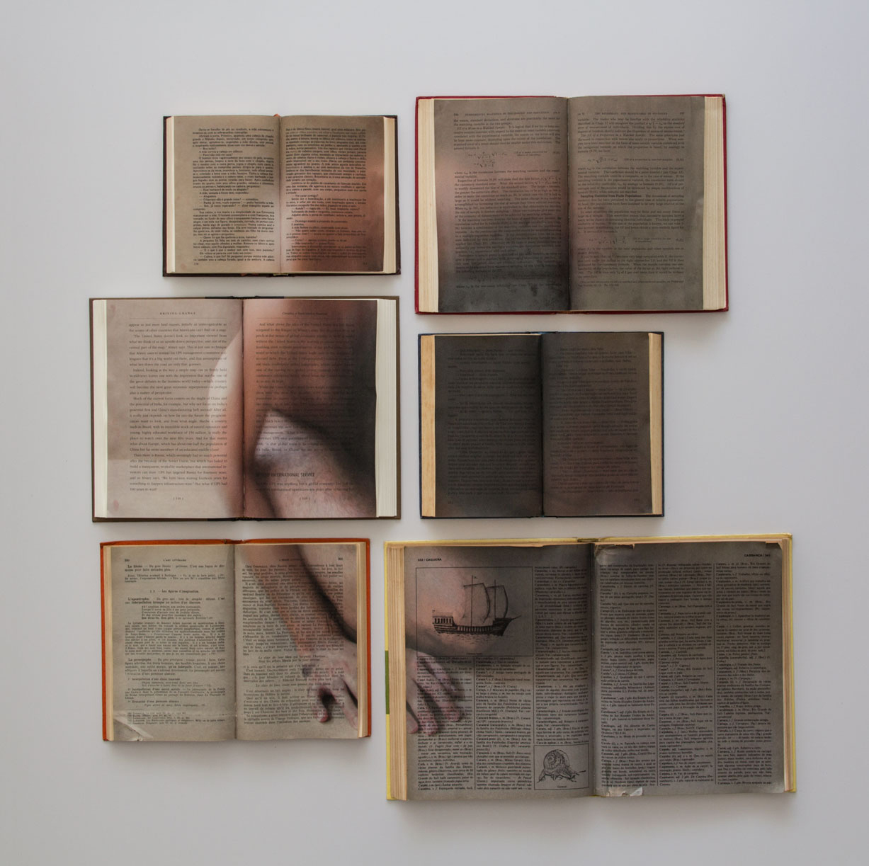 Christus Nóbrega, Bibliomancia II - Série Bibliografia, Impressão a jato de tinta sobre livros herdados, achados, emprestados e roubados, 2013