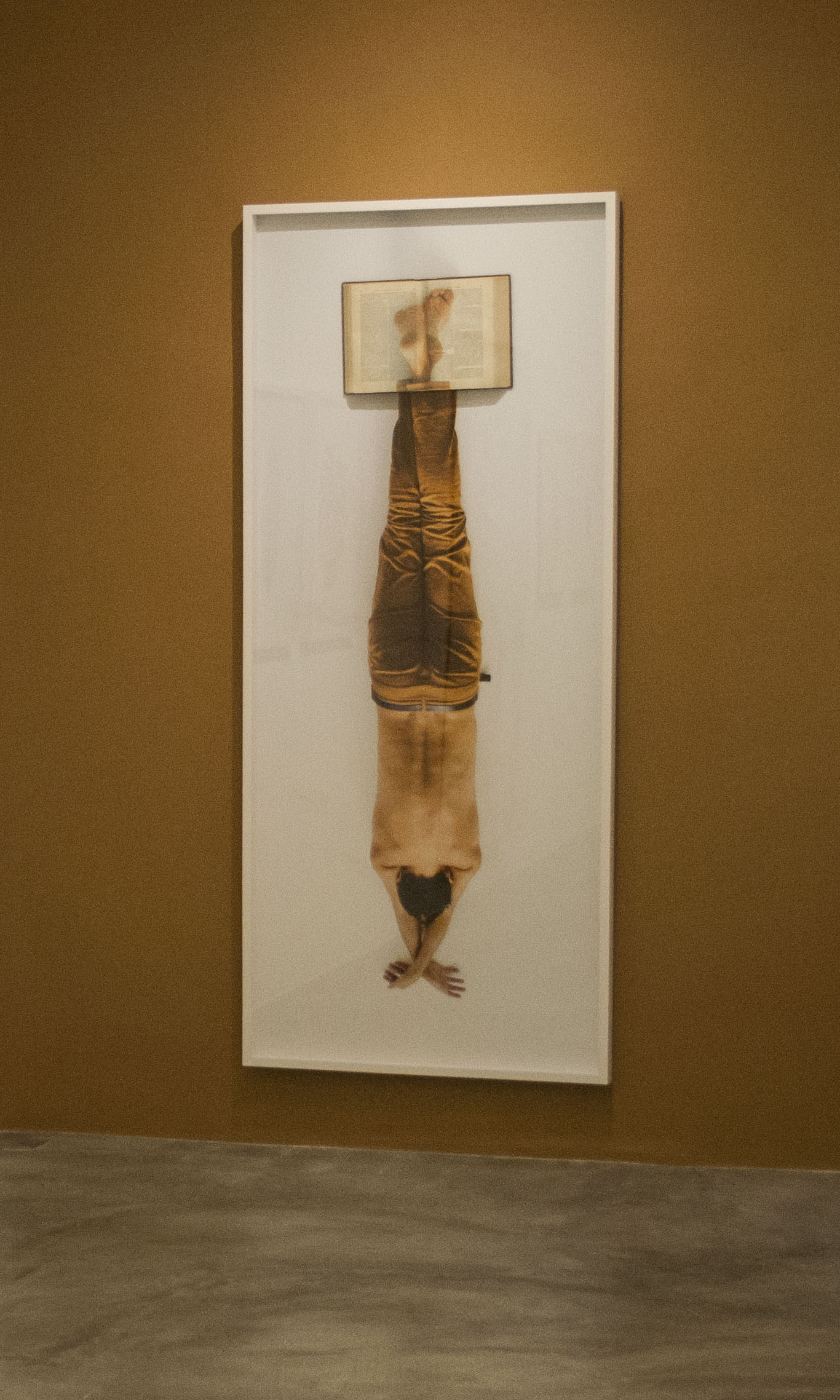 Christus Nóbrega, O Enforcado, Pigmento Mineral Sobre Papel de Algodão e livro, 200 x 100 cm, 2013, 5 de 5