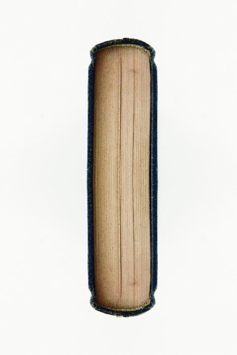 Christus Nóbrega, Livro Da Dispensa I, Pigmento Mineral sobre papel de algodão_50 x 75 cm, Tiragem 3/5, 2012